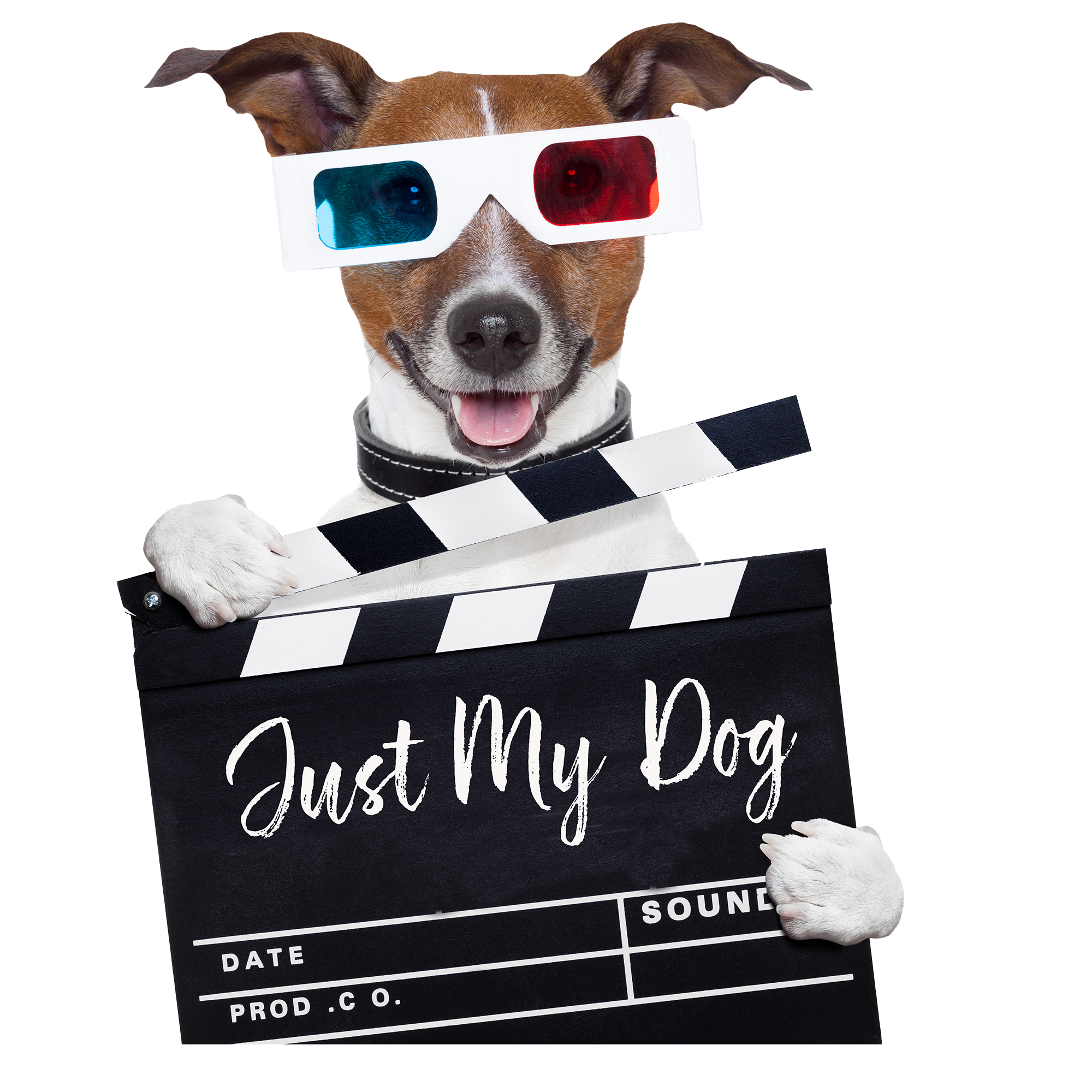 Your Video Guide Dog wearing 3D glasses